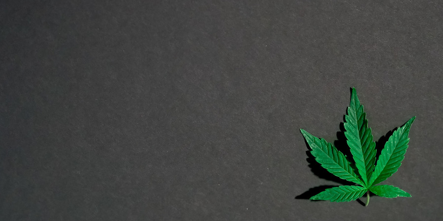 cannabis-leaf