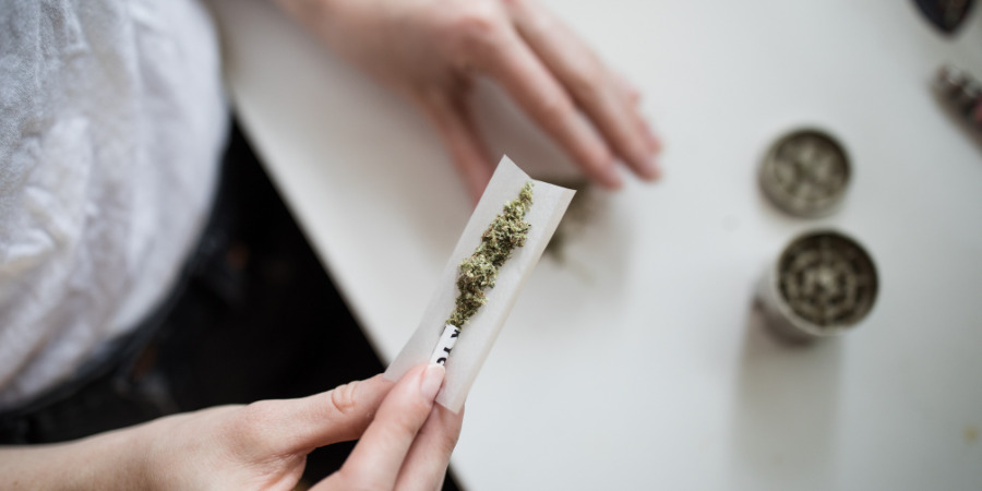 cannabis person rolling cannabis