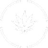 Cannabis Addiction