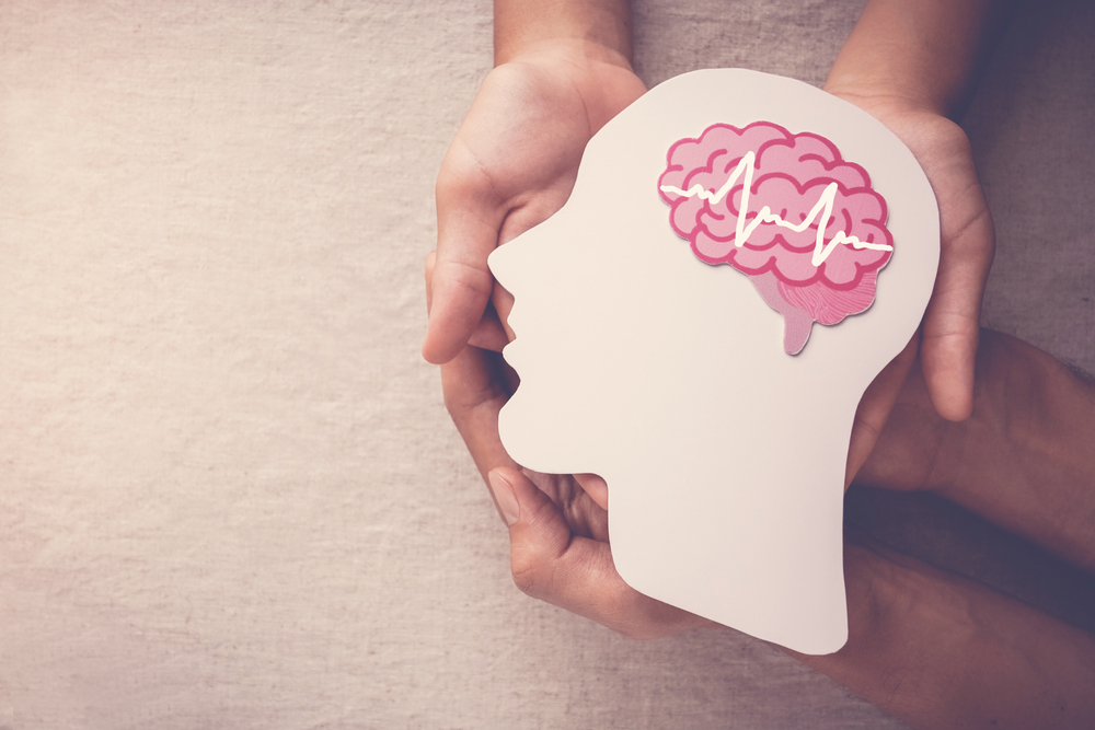brain-cut-out-image