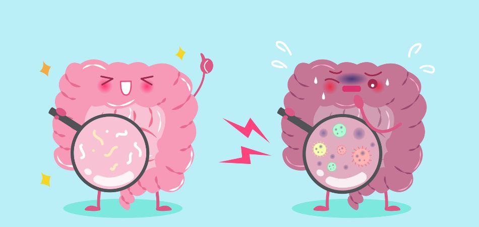 good digation and bad digation