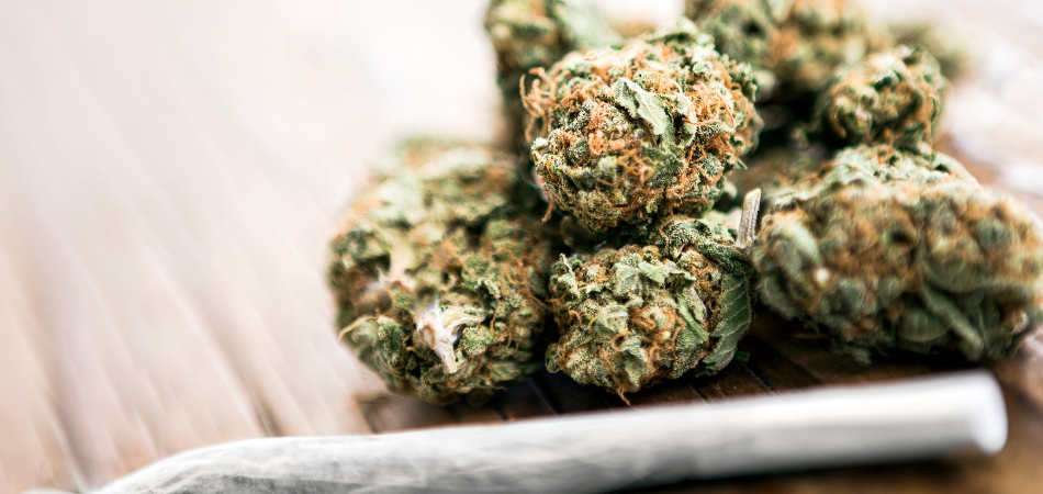 Cannabis addiction roll up