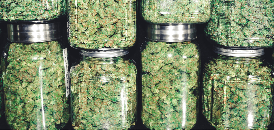 Jars of cannabis