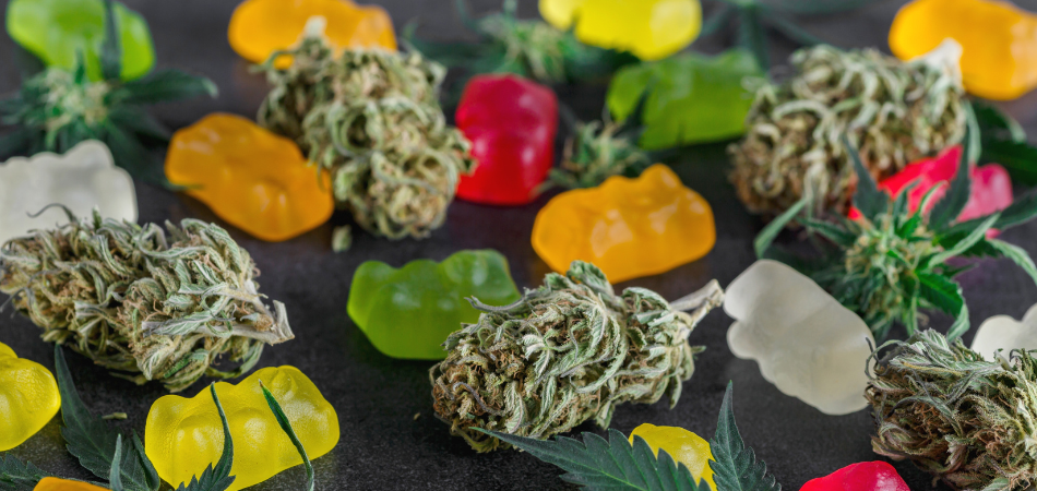 Biting into addiction: How cannabis gummies impact your health