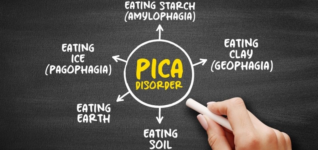 pica ghrapical image