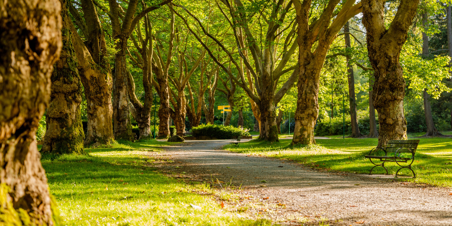 holistic-therapy-park-walk-for-mind