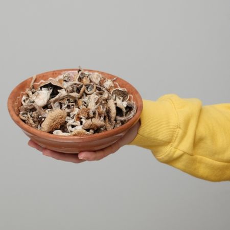 dried-magic-mushroom-in-a-bowl